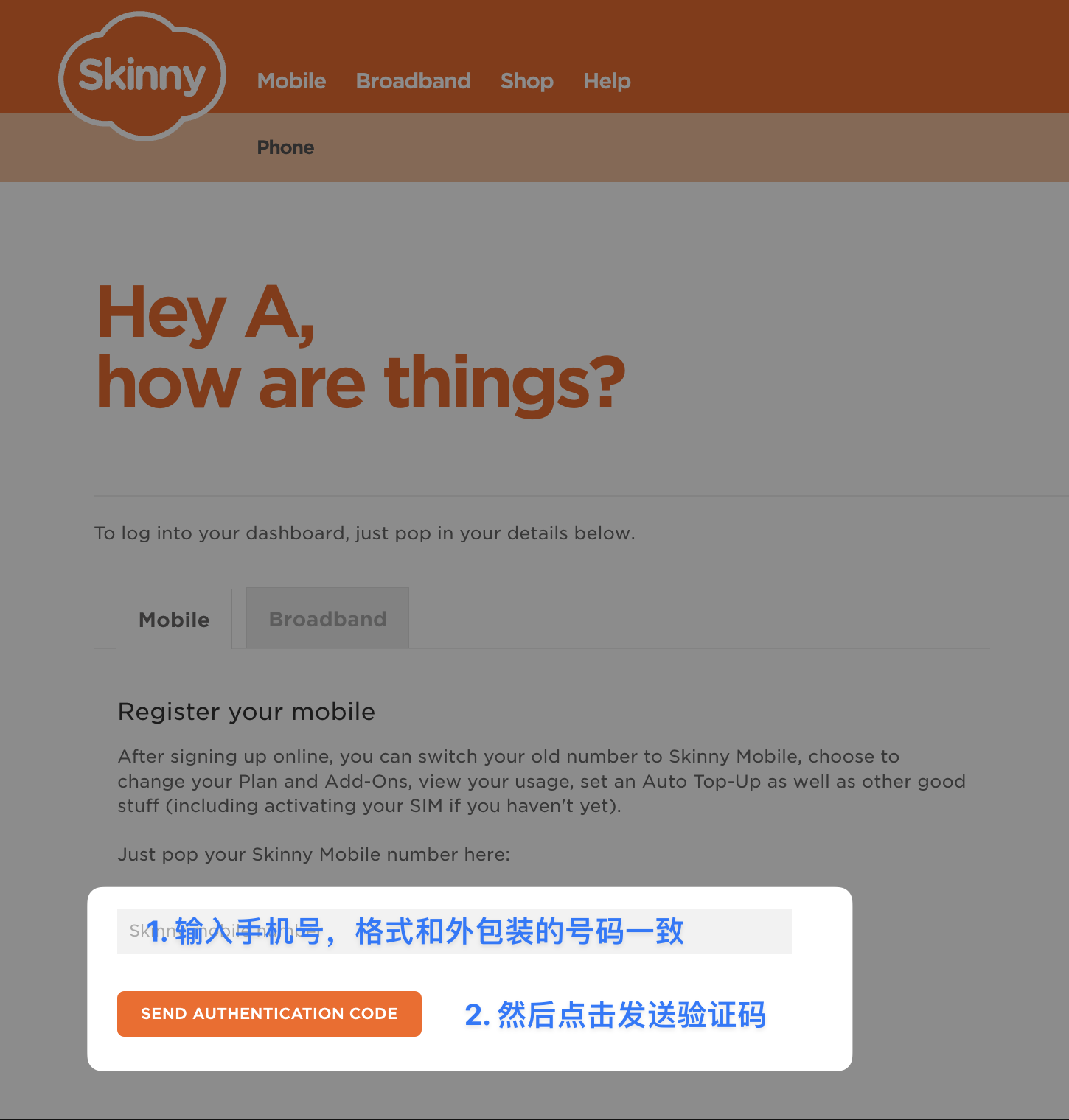 输入 Skinny 手机号并请求验证码